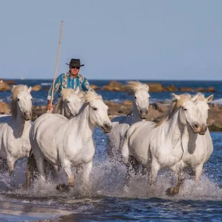 Portes De La Camargue * Bellegarde (Gard)